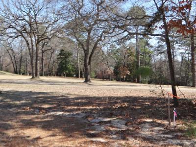 Holly Lake Ranch, Texas Golf Course Lot For Sale, East Tx - image 2