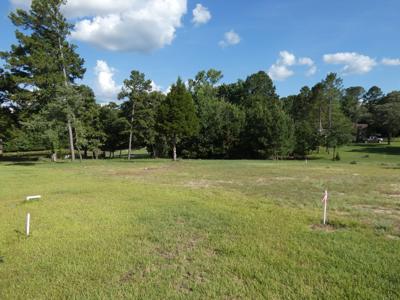 Holly Lake Ranch, Texas Golf Course Lot For Sale, East Tx - image 19