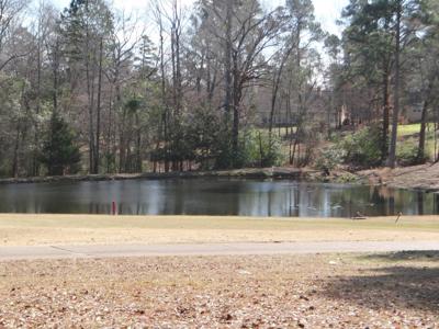 Holly Lake Ranch, Texas Golf Course Lot For Sale, East Tx - image 1