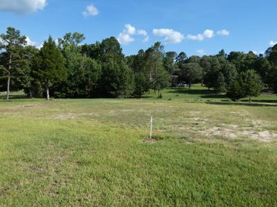 Holly Lake Ranch, Texas Golf Course Lot For Sale, East Tx - image 20