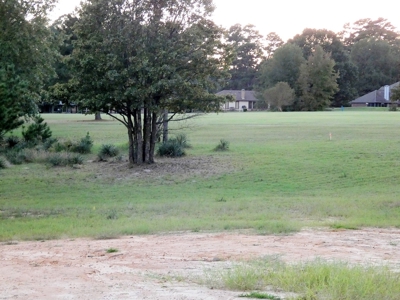 Holly Lake Ranch, Tx Golf Course Lot East Texas Wood County - image 3