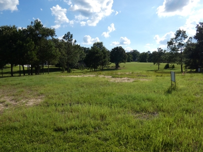 Holly Lake Ranch, Tx Golf Course Lot East Texas Wood County - image 25