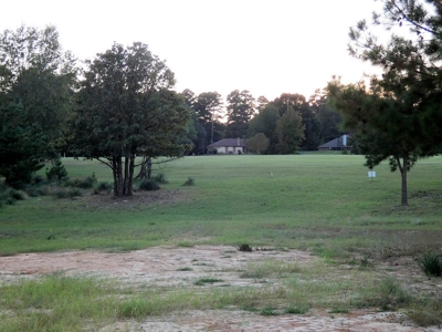 Holly Lake Ranch, Tx Golf Course Lot East Texas Wood County - image 1
