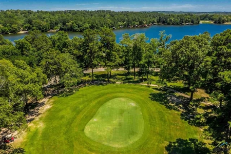 Holly Lake Ranch, Tx Golf Course Lot East Texas Wood County - image 14