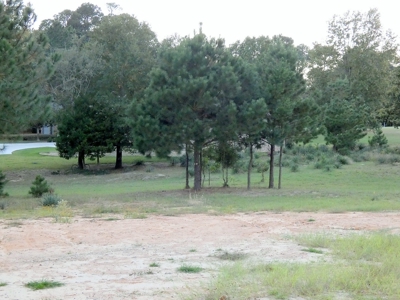 Holly Lake Ranch, Tx Golf Course Lot East Texas Wood County - image 2