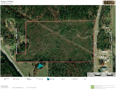 Timberland For Sale in Morris County TX - image 1