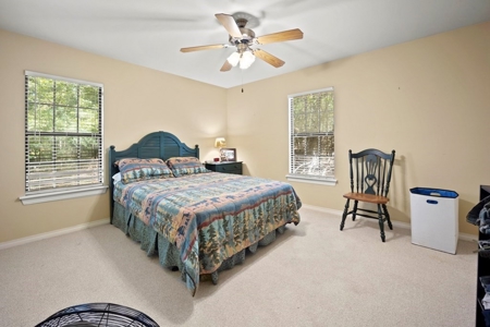 Turnkey Hunting Land, Camp, Guest Cabin, Lakes, South LA - image 23