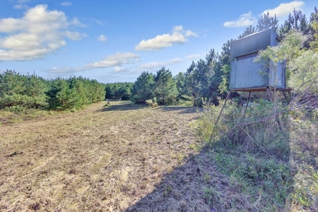 Turnkey Hunting Land, Camp, Guest Cabin, Lakes, South LA - image 28