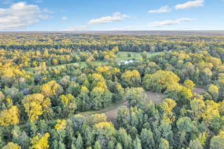 Turnkey Hunting Land, Camp, Guest Cabin, Lakes, South LA - image 38