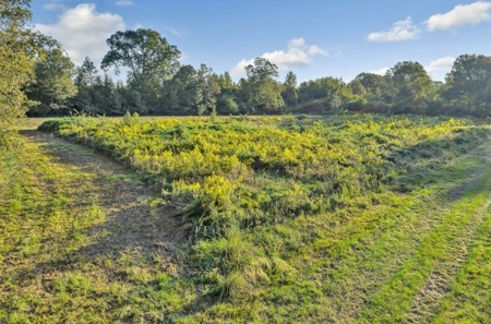 Turnkey Hunting Land, Camp, Guest Cabin, Lakes, South LA - image 43