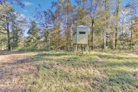 Turnkey Hunting Land, Camp, Guest Cabin, Lakes, South LA - image 27