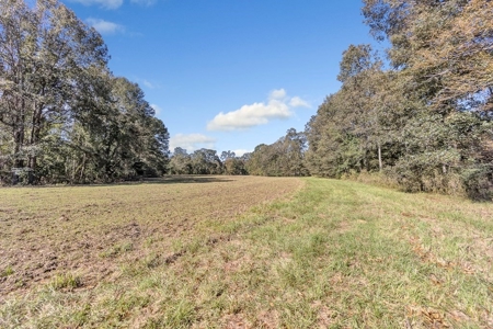Turnkey Hunting Land, Camp, Guest Cabin, Lakes, South LA - image 31