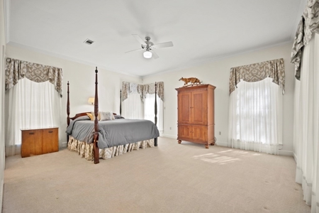 Turnkey Hunting Land, Camp, Guest Cabin, Lakes, South LA - image 8