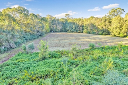 Turnkey Hunting Land, Camp, Guest Cabin, Lakes, South LA - image 42