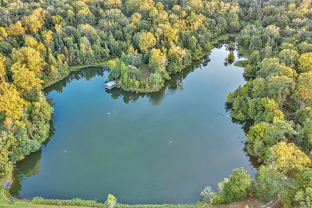 Turnkey Hunting Land, Camp, Guest Cabin, Lakes, South LA - image 3