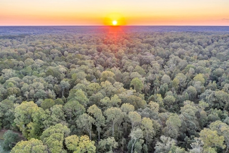 Turnkey Hunting Land, Camp, Guest Cabin, Lakes, South LA - image 34