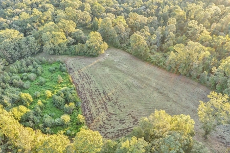 Turnkey Hunting Land, Camp, Guest Cabin, Lakes, South LA - image 39