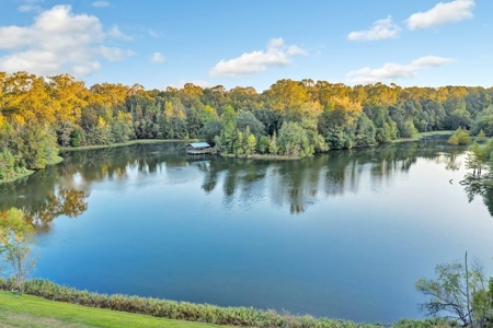 Turnkey Hunting Land, Camp, Guest Cabin, Lakes, South LA - image 37