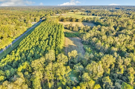 Turnkey Hunting Land, Camp, Guest Cabin, Lakes, South LA - image 40