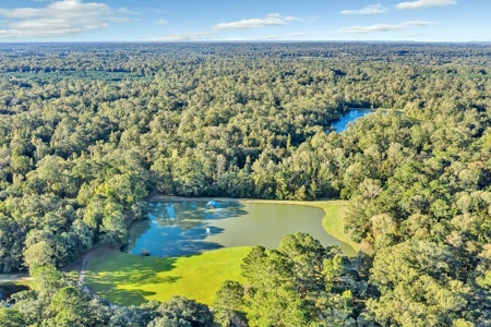 Turnkey Hunting Land, Camp, Guest Cabin, Lakes, South LA - image 46