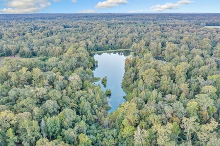 Turnkey Hunting Land, Camp, Guest Cabin, Lakes, South LA - image 33