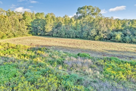 Turnkey Hunting Land, Camp, Guest Cabin, Lakes, South LA - image 41