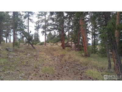 Private Corner Lot in Fox Acres Golf Community - image 7