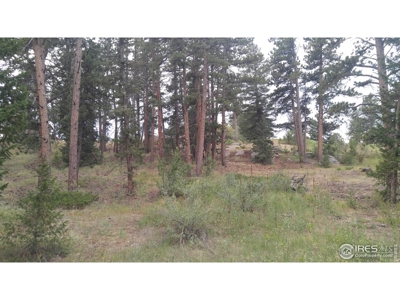 Private Corner Lot in Fox Acres Golf Community - image 5