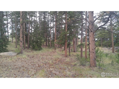Private Corner Lot in Fox Acres Golf Community - image 8