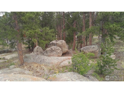 Private Corner Lot in Fox Acres Golf Community - image 6