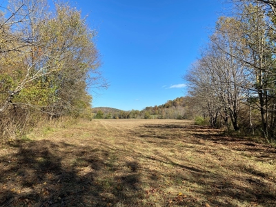 Farmland for Sale in Bland VA! - image 4