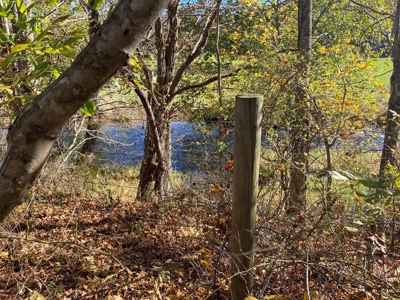 Farmland for Sale in Bland VA! - image 2