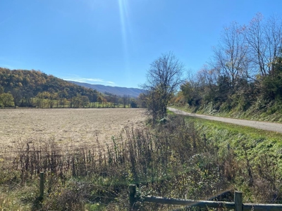 Farmland for Sale in Bland VA! - image 5