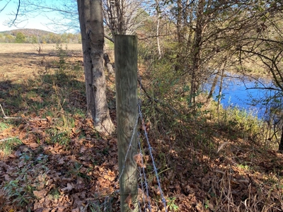 Farmland for Sale in Bland VA! - image 3