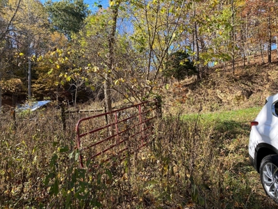 Farmland for Sale in Bland VA! - image 6