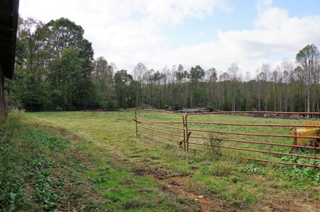 Poultry Farm in the Piedmont of North Carolina - image 12