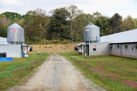 Poultry Farm in the Piedmont of North Carolina - image 15