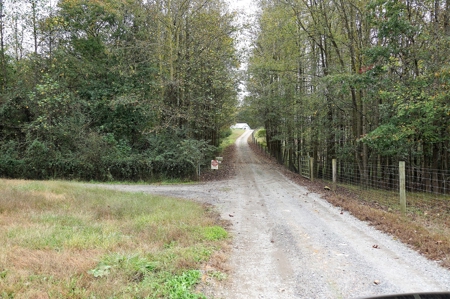 Poultry Farm in the Piedmont of North Carolina - image 13