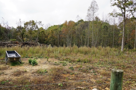 Poultry Farm in the Piedmont of North Carolina - image 14