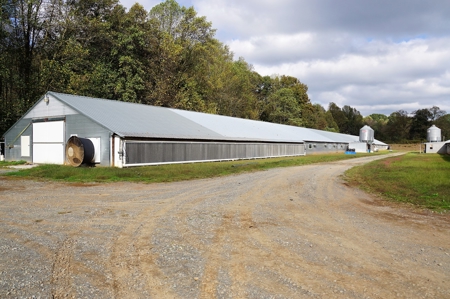 Poultry Farm in the Piedmont of North Carolina - image 6