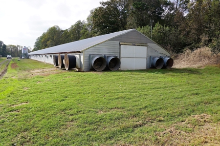 Poultry Farm in the Piedmont of North Carolina - image 10