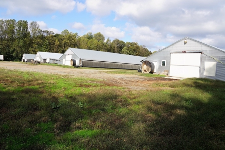 Poultry Farm in the Piedmont of North Carolina - image 1