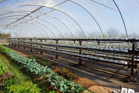 Exceptional Sustainable Family Farm, Central Oklahoma - image 23