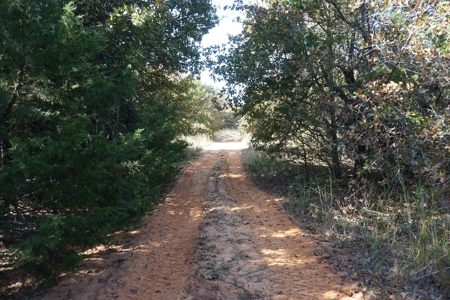 Exceptional Sustainable Family Farm, Central Oklahoma - image 36