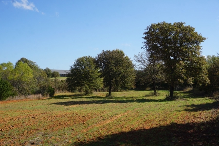 Exceptional Sustainable Family Farm, Central Oklahoma - image 38