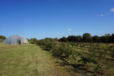 Exceptional Sustainable Family Farm, Central Oklahoma - image 21
