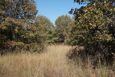 Exceptional Sustainable Family Farm, Central Oklahoma - image 35
