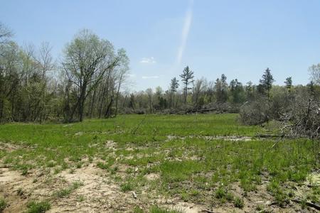 Arkansas Hunting Acreage/Farm For Sale With Creek - image 17