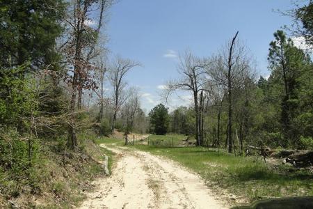 Arkansas Hunting Acreage/Farm For Sale With Creek - image 22