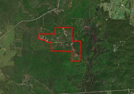 Arkansas Hunting Acreage/Farm For Sale With Creek - image 26